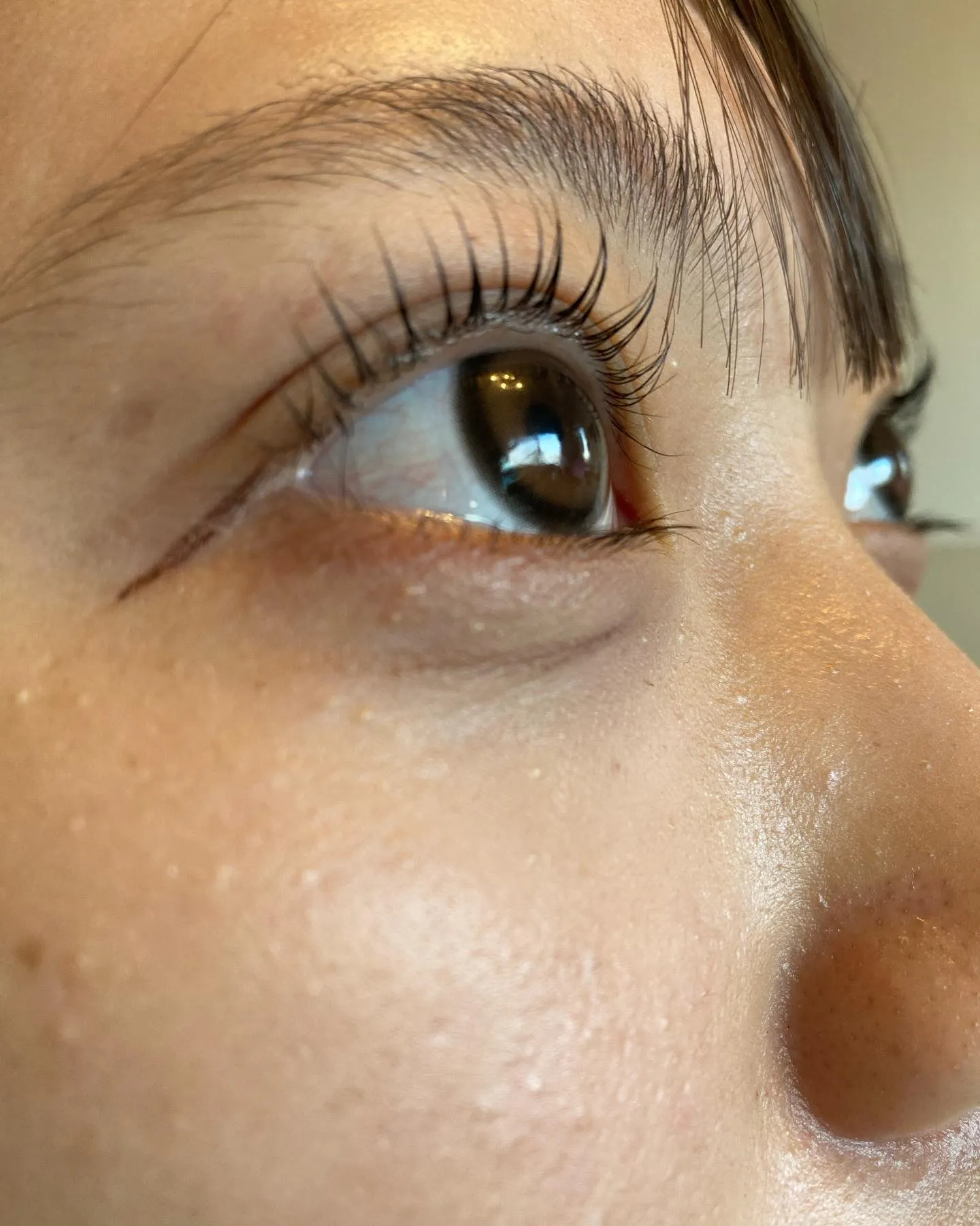 アッパーリフトカール