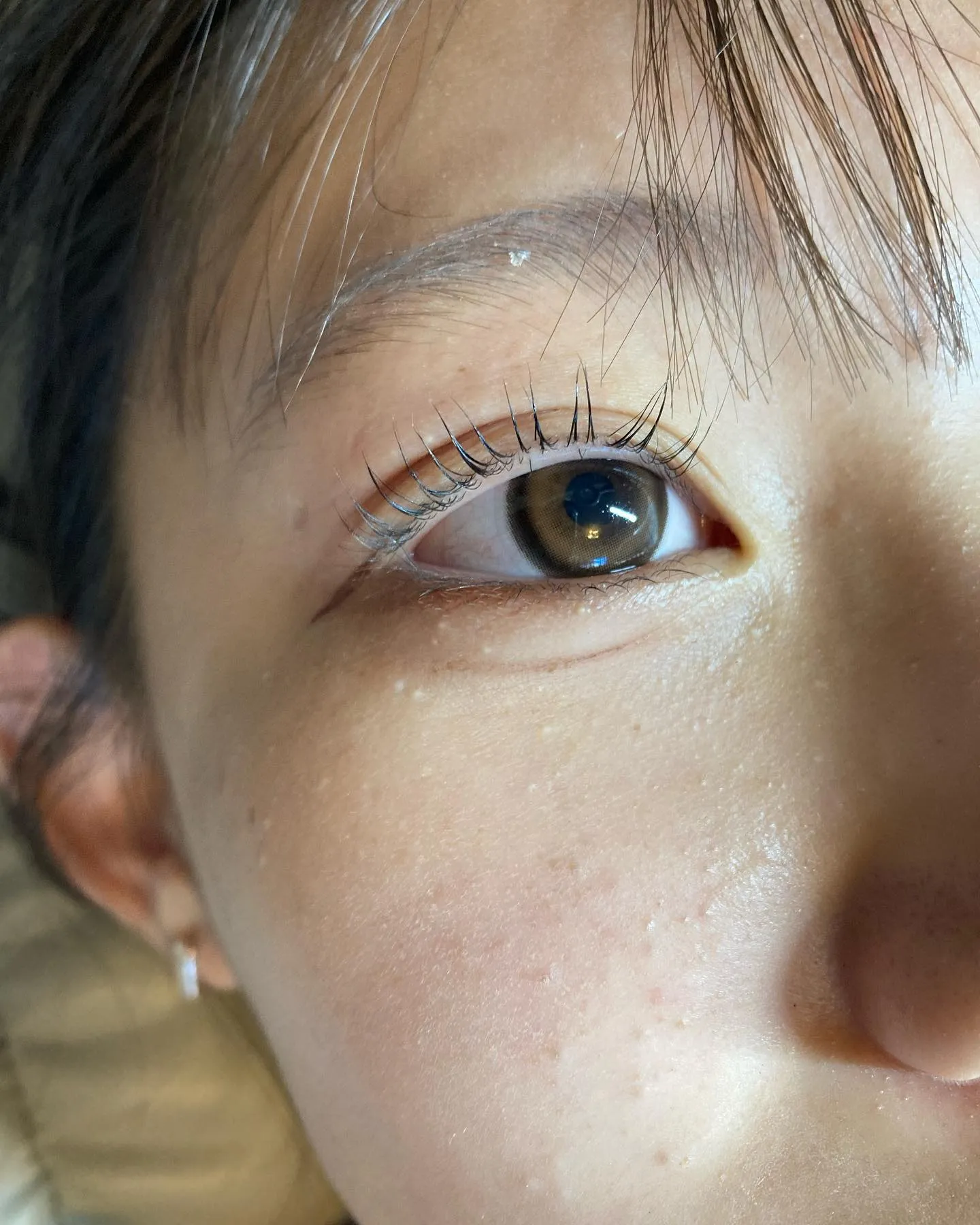 アッパーリフトカール